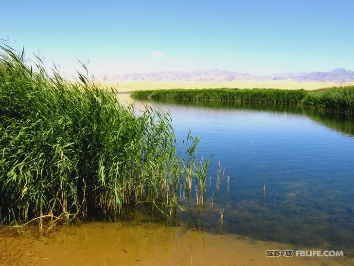 Blue sky, white clouds, clear water, vast Gobi, a bright pearl, dreamy golden world, Delingha