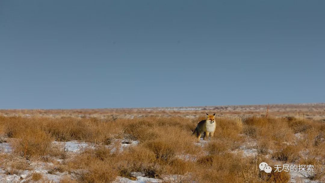 2019 National Geographic Expedition Season 4 Hot Springs Mustang Beaver Mine Canyon