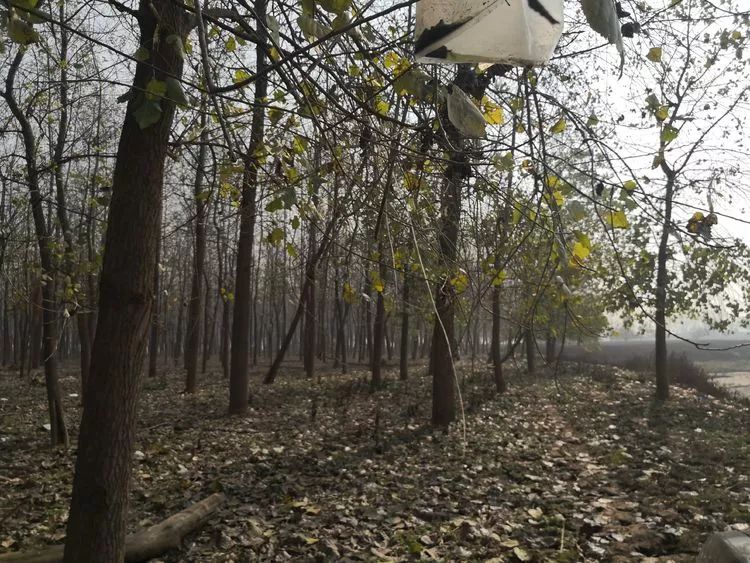 A few years ago, Tongguan Kiln and Hongzhou Island were wonderful off-road!