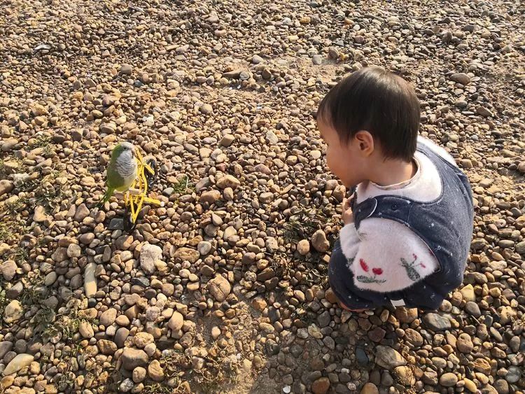 A few years ago, Tongguan Kiln and Hongzhou Island were wonderful off-road!