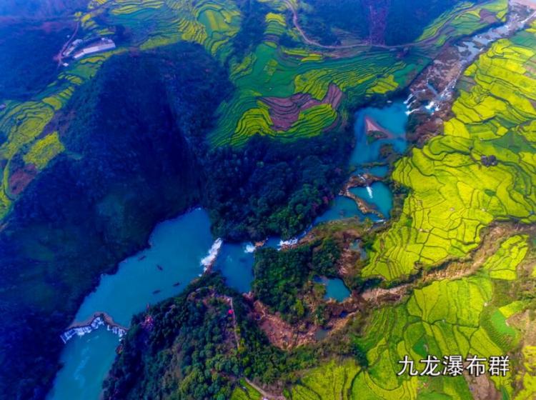 Go to Luoping, Yunnan to see rapeseed flowers and experience the unique customs of ethnic minorities