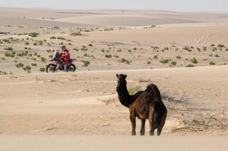 2020 Dakar Stage 10: Alonso suffered an accidental rollover, and the Korean and Wei car group ranked 9th