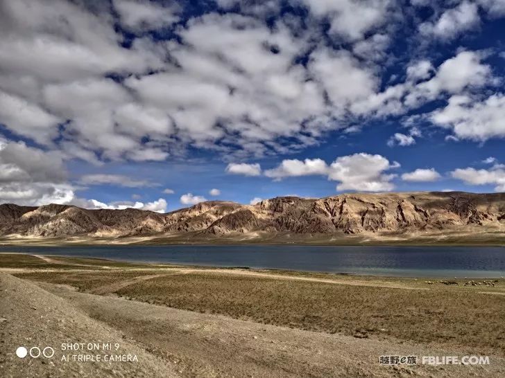 An unexpected harvest, the scenery of Ali in Tibet!