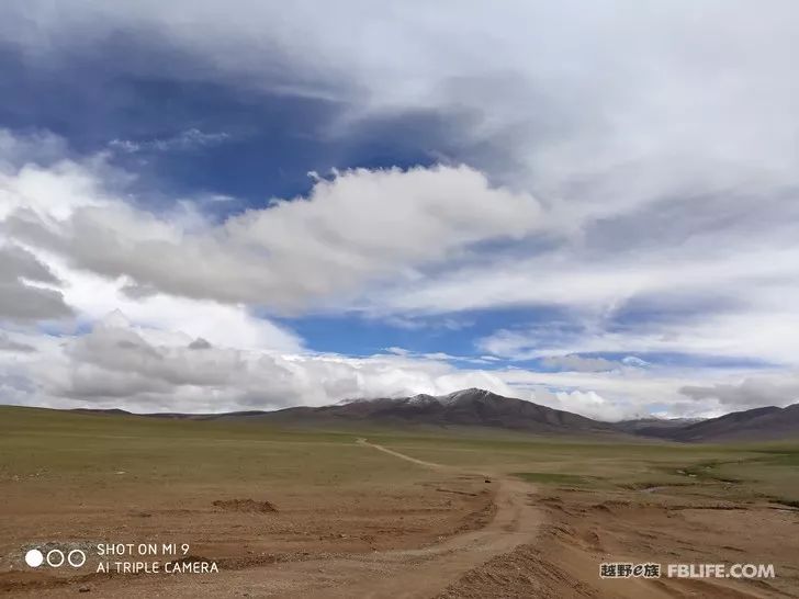 An unexpected harvest, the scenery of Ali in Tibet!