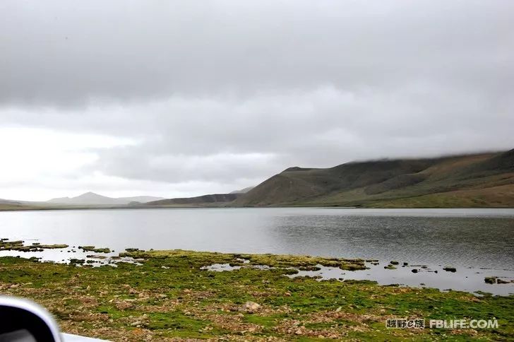 An unexpected harvest, the scenery of Ali in Tibet!