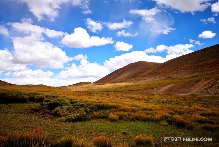 Colorful Nian Qingdong, Colorful Southeast Tibet!