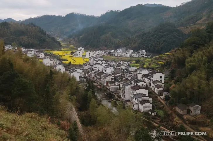 Spring is warm and flowers are blooming wonderfully in Huangshan