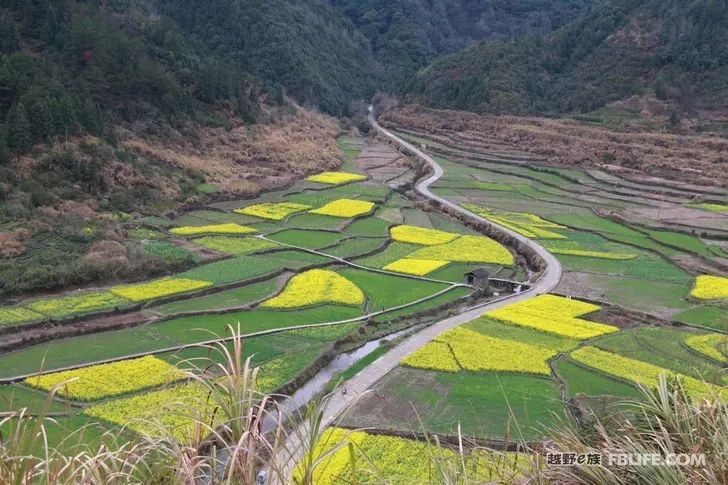 Spring is warm and flowers are blooming wonderfully in Huangshan