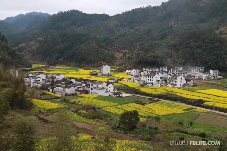 Spring is warm and flowers are blooming wonderfully in Huangshan