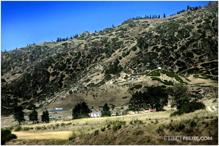 Grandpa's photography caravan, photoshoot in Xinjiang!