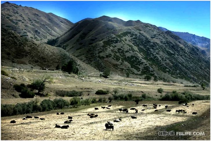 Grandpa's photography caravan, photoshoot in Xinjiang!