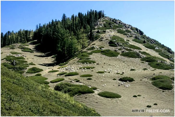 Grandpa's photography caravan, photoshoot in Xinjiang!