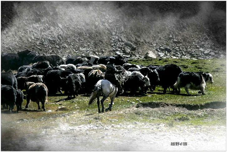 Grandpa's photography caravan, photoshoot in Xinjiang!