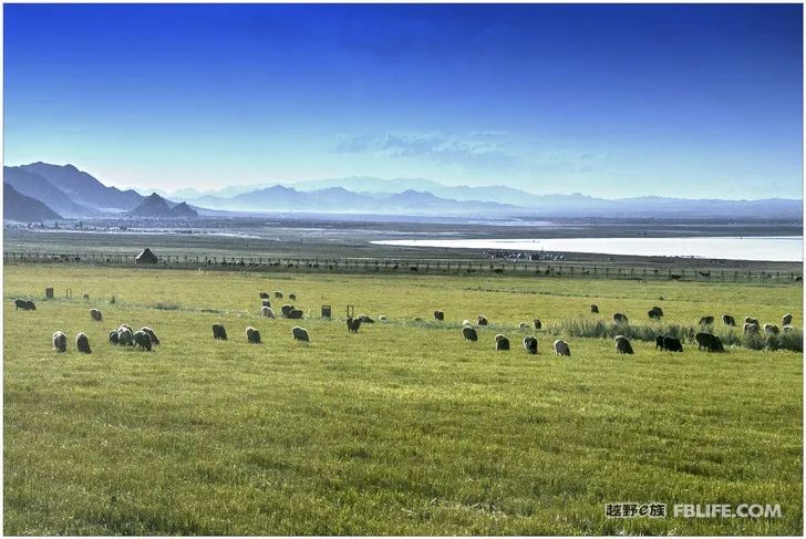 Grandpa's photography caravan, photoshoot in Xinjiang!