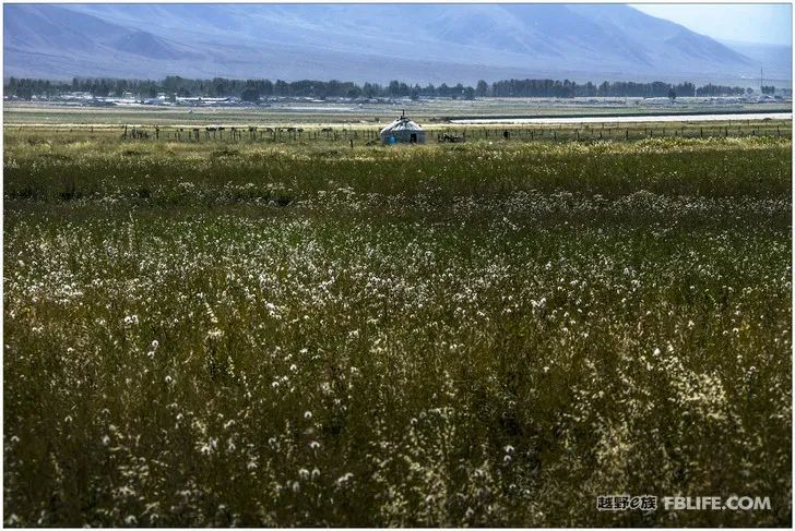 Grandpa's photography caravan, photoshoot in Xinjiang!