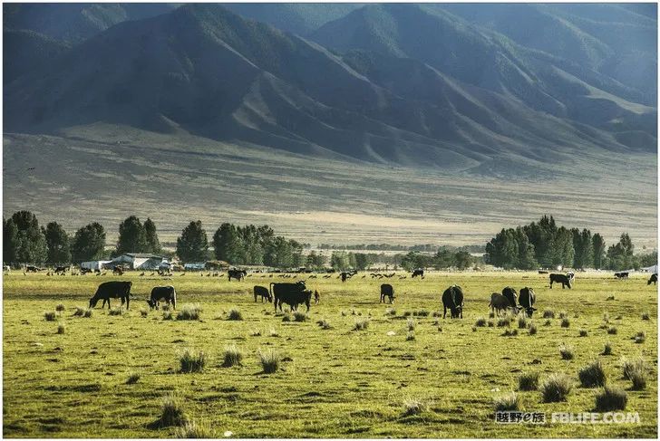 Grandpa's photography caravan, photoshoot in Xinjiang!