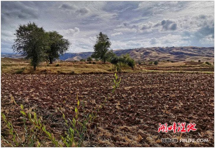 Grandpa's photography caravan, photoshoot in Xinjiang!