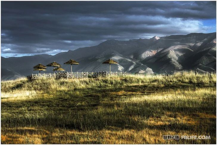 Grandpa's photography caravan, photoshoot in Xinjiang!