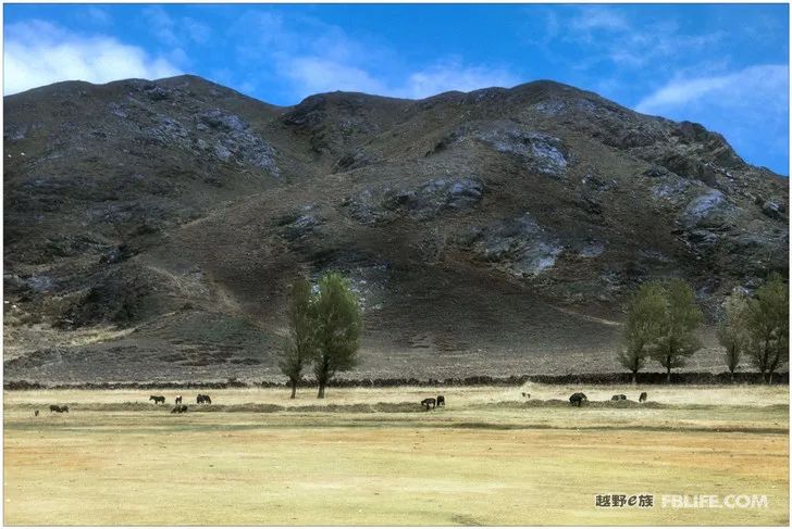 Grandpa's photography caravan, photoshoot in Xinjiang!