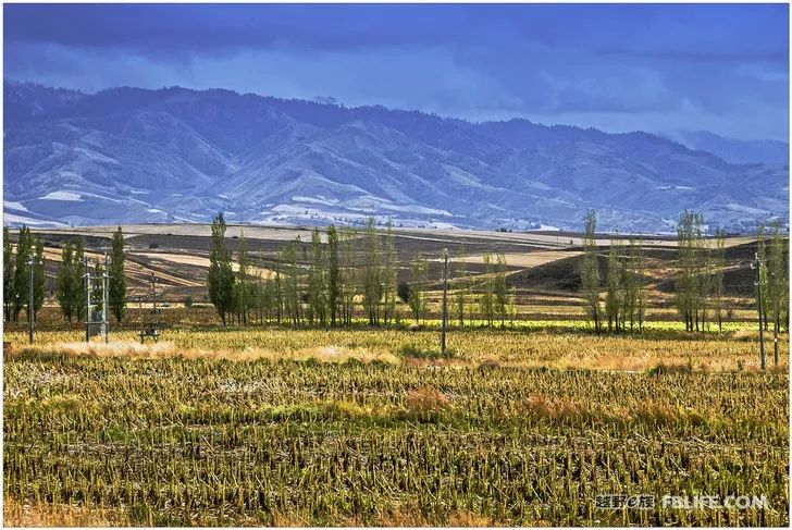 Grandpa's photography caravan, photoshoot in Xinjiang!