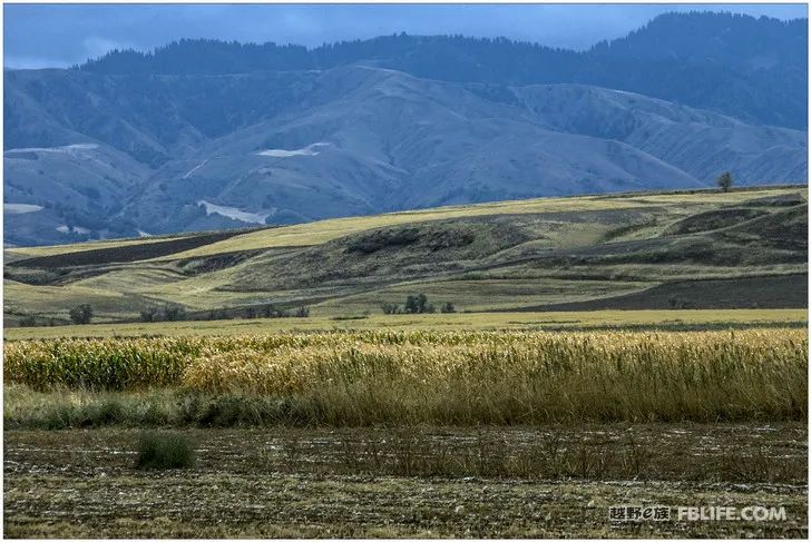 Grandpa's photography caravan, photoshoot in Xinjiang!