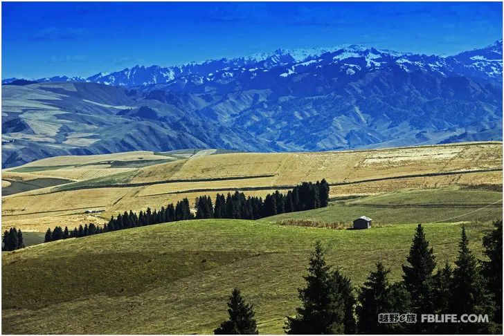 Grandpa's photography caravan, photoshoot in Xinjiang!