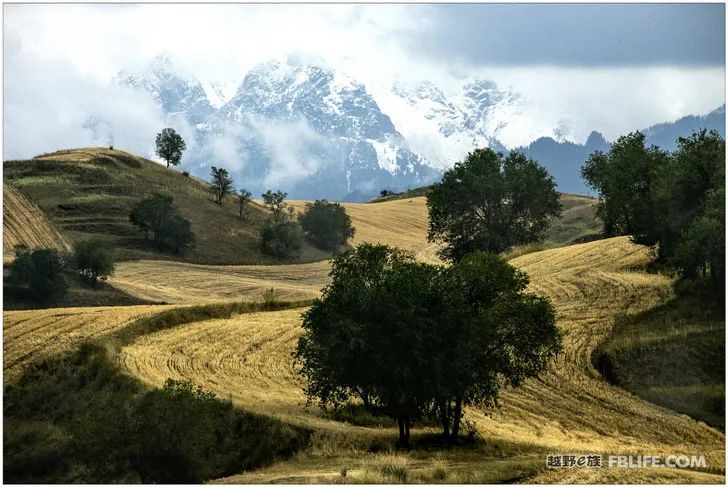 Grandpa's photography caravan, photoshoot in Xinjiang!