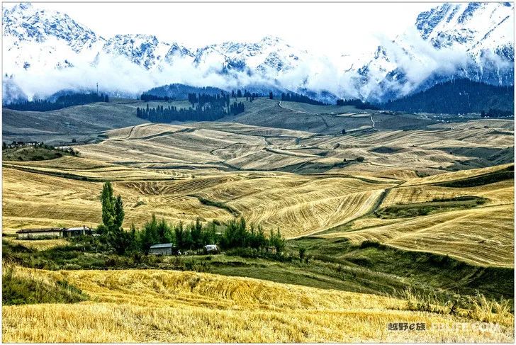 Grandpa's photography caravan, photoshoot in Xinjiang!