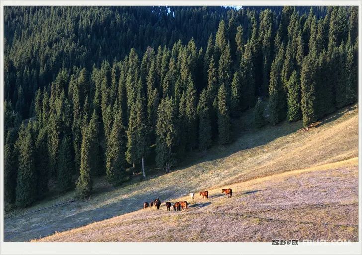 Grandpa's photography caravan, photoshoot in Xinjiang!