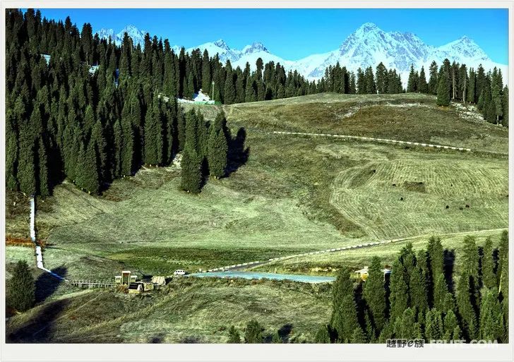 Grandpa's photography caravan, photoshoot in Xinjiang!