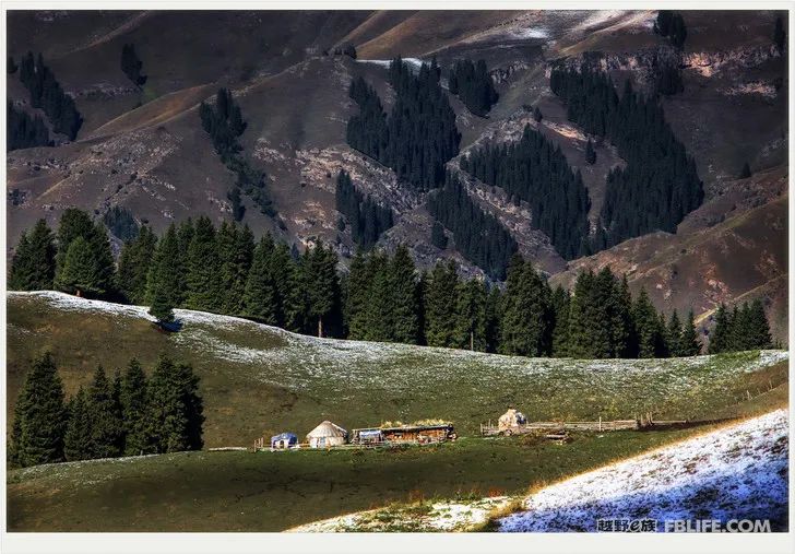 Grandpa's photography caravan, photoshoot in Xinjiang!