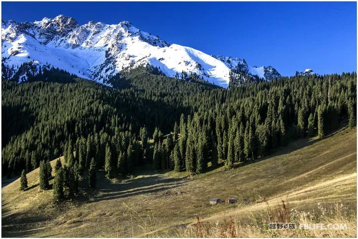 Grandpa's photography caravan, photoshoot in Xinjiang!