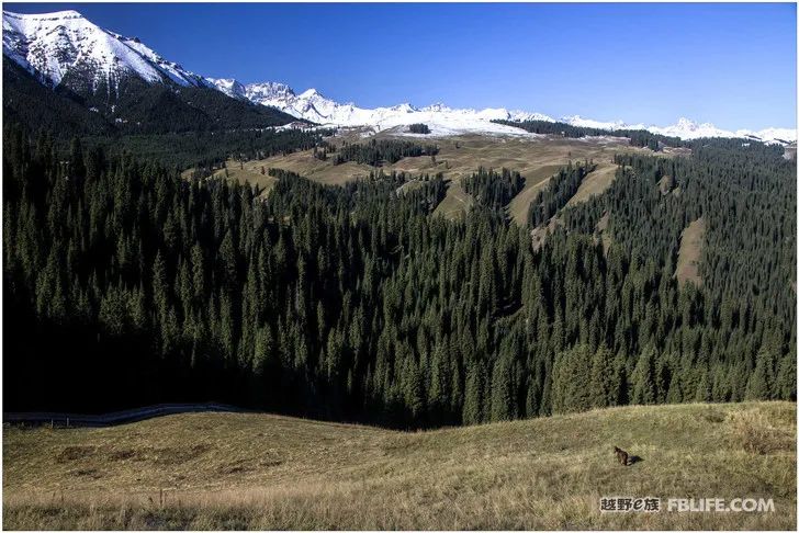 Grandpa's photography caravan, photoshoot in Xinjiang!