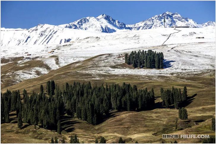 Grandpa's photography caravan, photoshoot in Xinjiang!