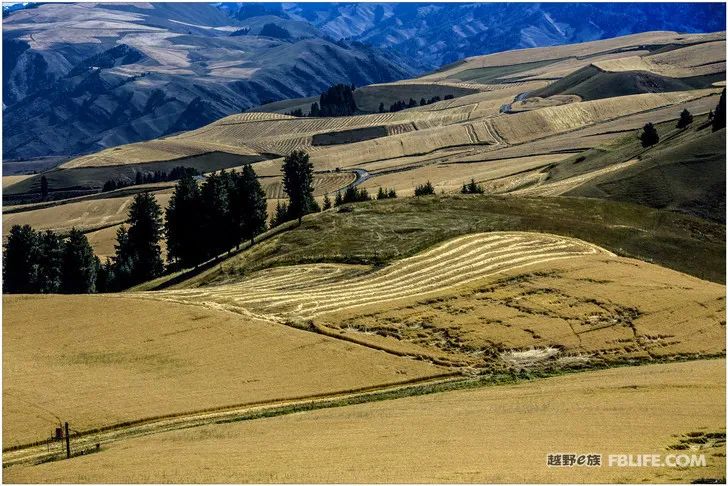 Grandpa's photography caravan, photoshoot in Xinjiang!