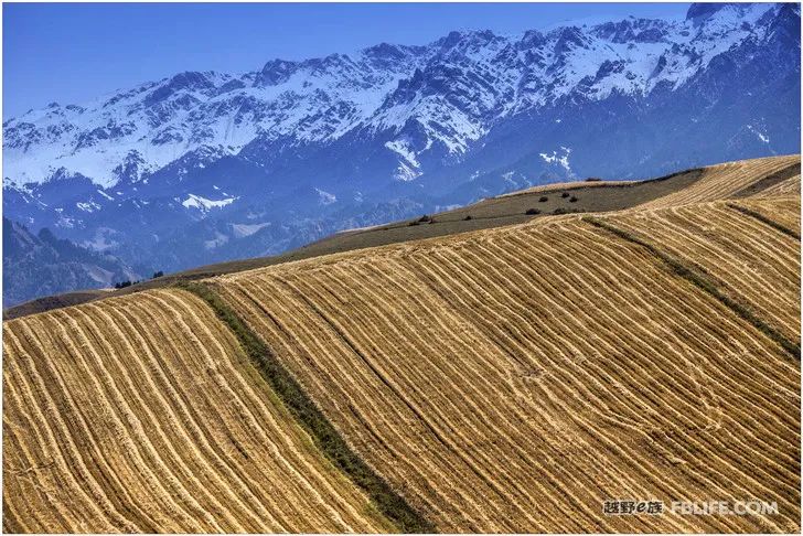 Grandpa's photography caravan, photoshoot in Xinjiang!