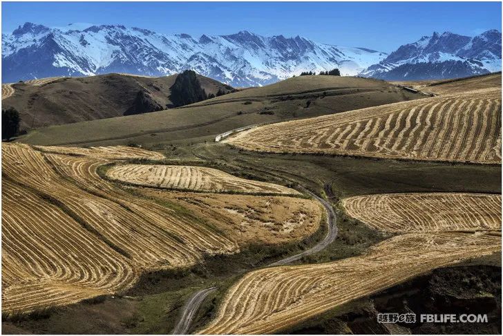 Grandpa's photography caravan, photoshoot in Xinjiang!