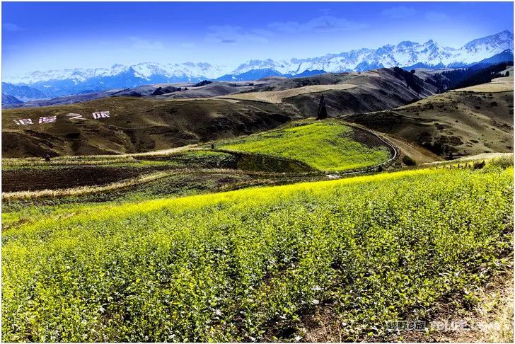 Grandpa's photography caravan, photoshoot in Xinjiang!