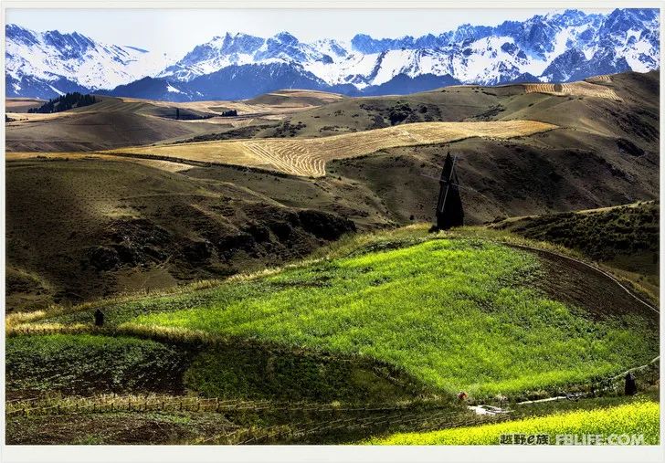 Grandpa's photography caravan, photoshoot in Xinjiang!