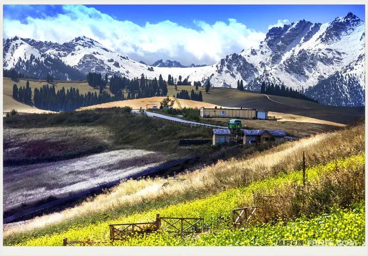 Grandpa's photography caravan, photoshoot in Xinjiang!