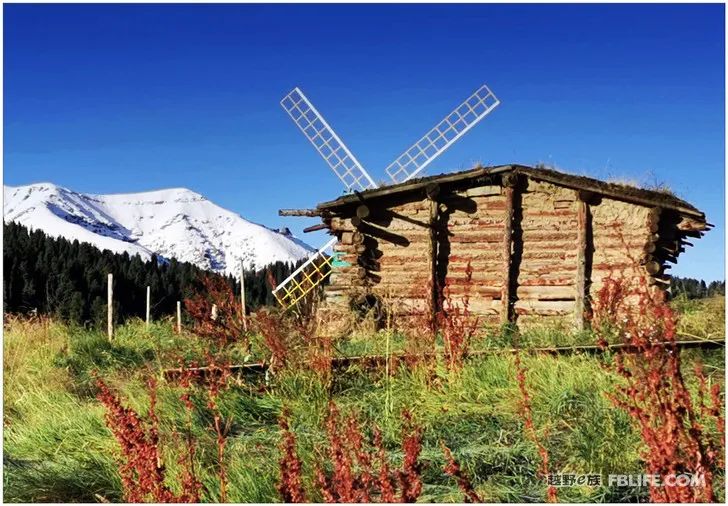 Grandpa's photography caravan, photoshoot in Xinjiang!