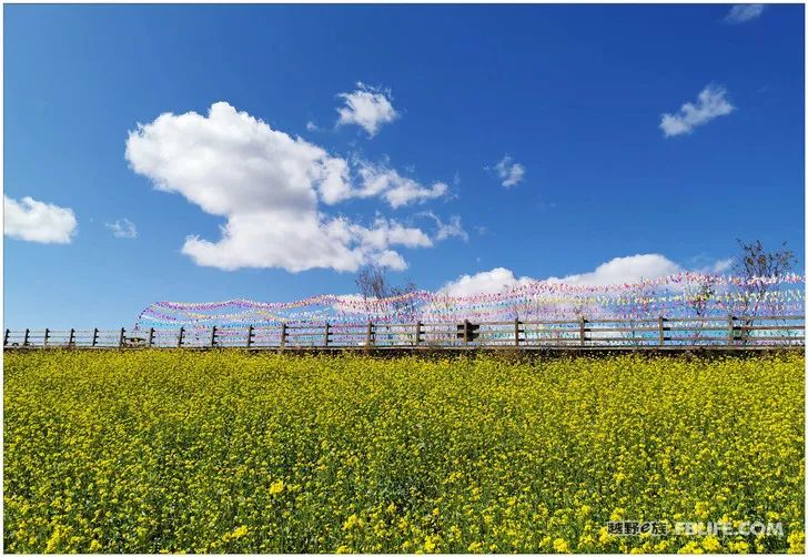 Grandpa's photography caravan, photoshoot in Xinjiang!