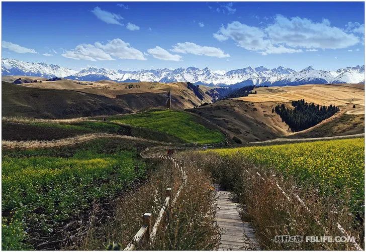 Grandpa's photography caravan, photoshoot in Xinjiang!