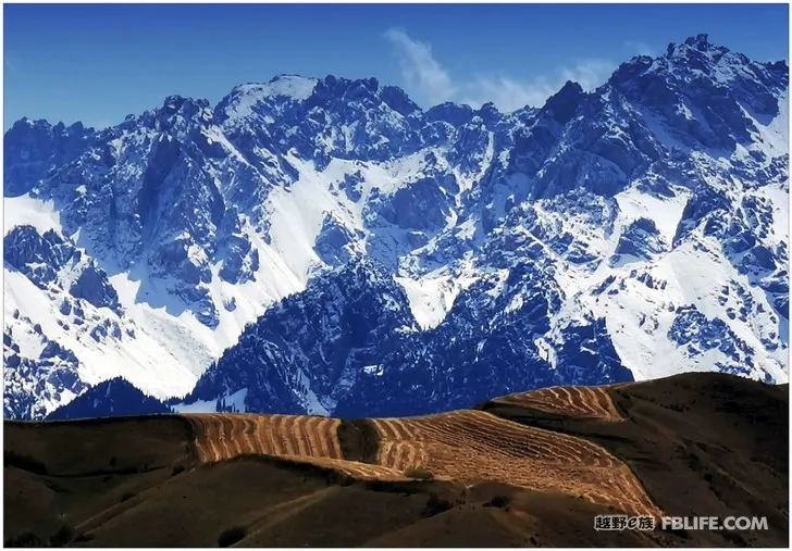 Grandpa's photography caravan, photoshoot in Xinjiang!