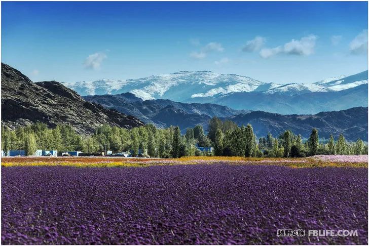 Grandpa's photography caravan, photoshoot in Xinjiang!