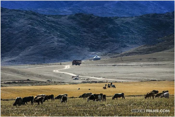 Grandpa's photography caravan, photoshoot in Xinjiang!