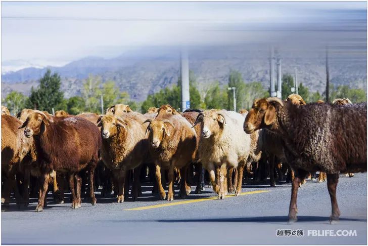 Grandpa's photography caravan, photoshoot in Xinjiang!