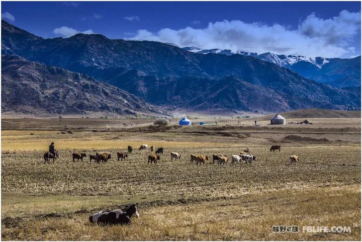 Grandpa's photography caravan, photoshoot in Xinjiang!