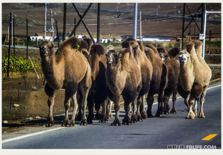 Grandpa's photography caravan, photoshoot in Xinjiang!