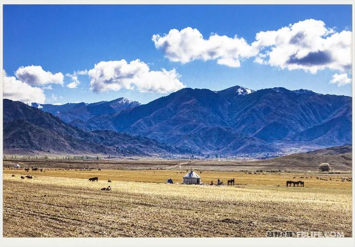 Grandpa's photography caravan, photoshoot in Xinjiang!